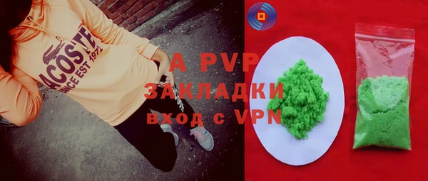 apvp Инта