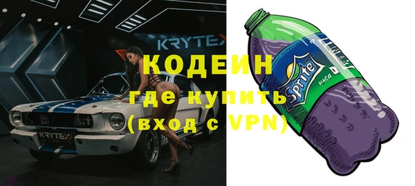apvp Инта