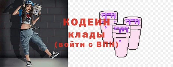 apvp Инта