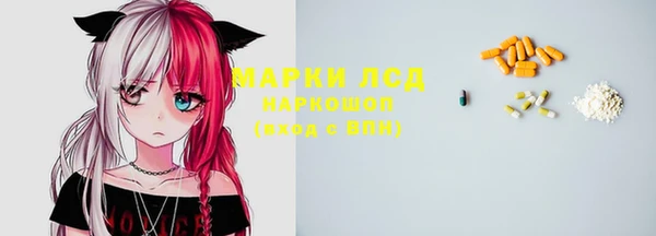 apvp Инта