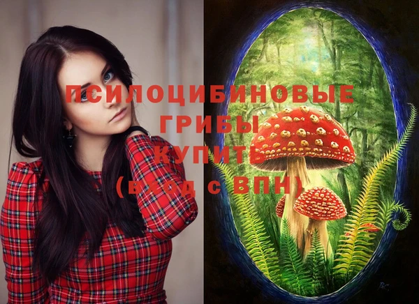 ПСИЛОЦИБИНОВЫЕ ГРИБЫ Иннополис