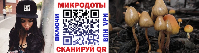 Купить  Ленинградская  Псилоцибиновые грибы мухоморы 